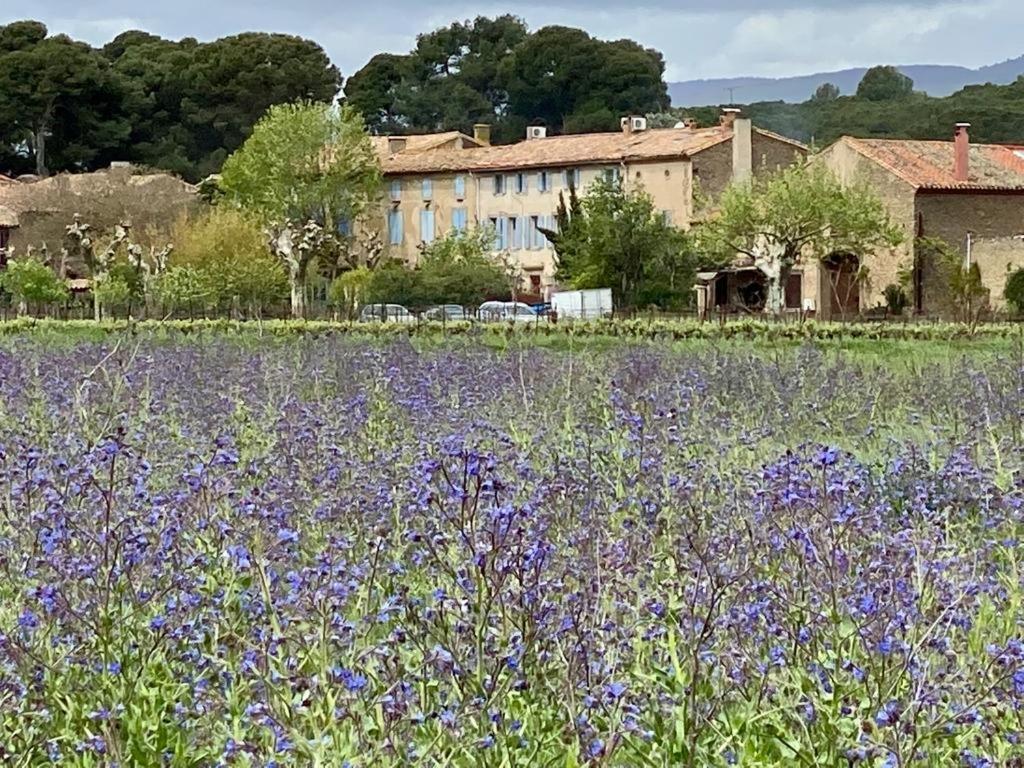 Le Relais D'Affiac Bed & Breakfast Peyriac-Minervois Екстериор снимка