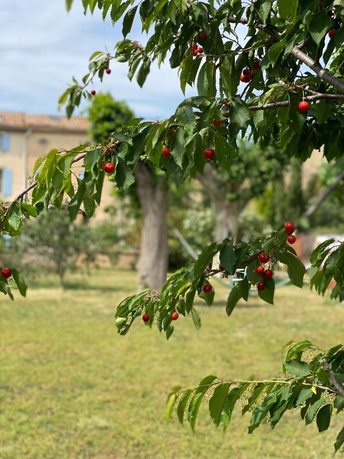 Le Relais D'Affiac Bed & Breakfast Peyriac-Minervois Екстериор снимка