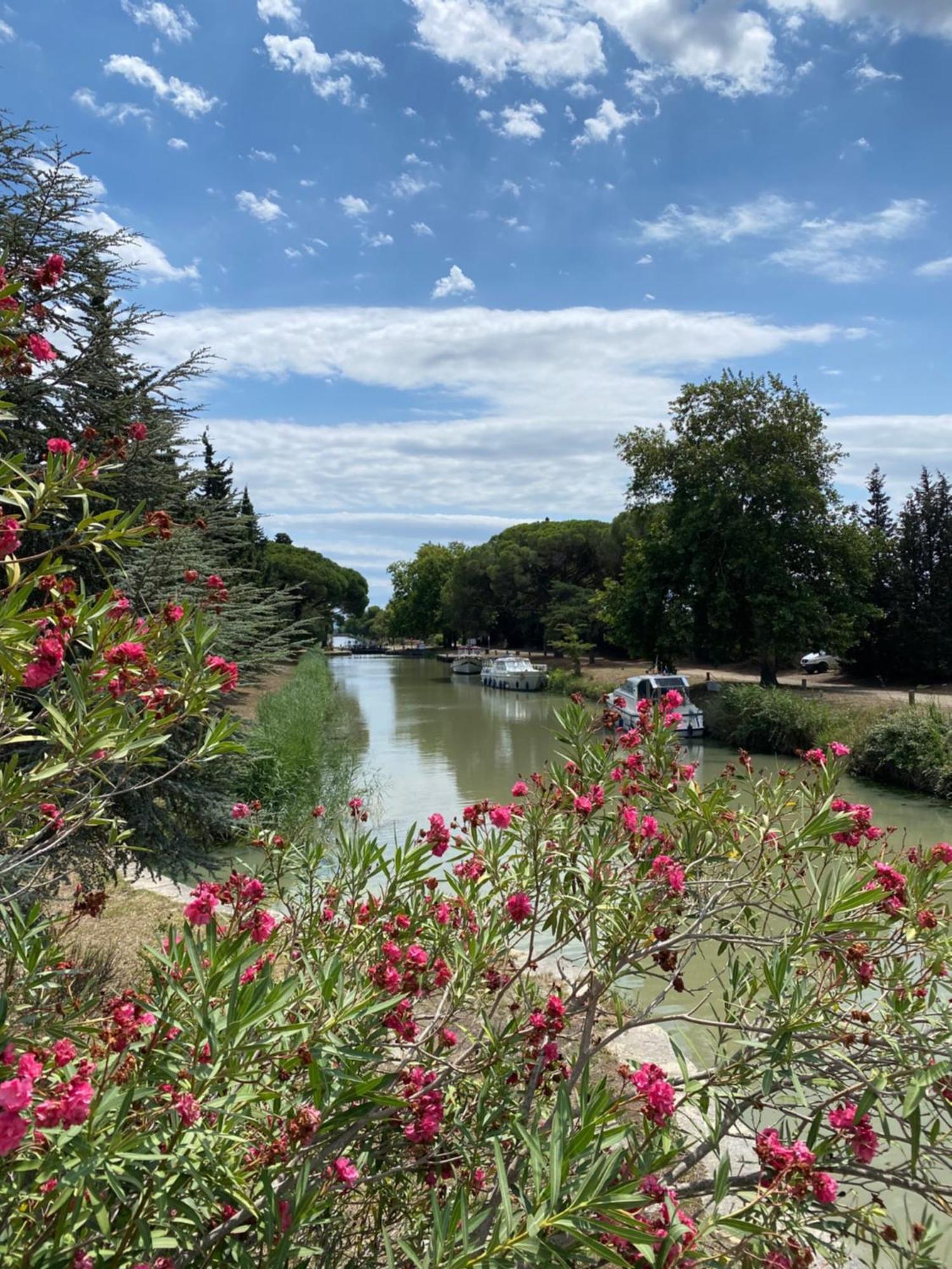 Le Relais D'Affiac Bed & Breakfast Peyriac-Minervois Екстериор снимка